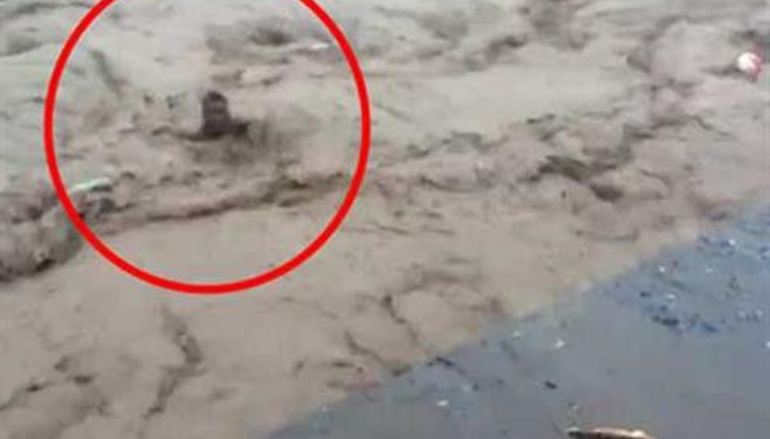 Avustralyadaki sel felaketinin yeni görüntüleri ortaya çıktı Avustralyadaki sel felaketinin yeni görüntüleri ortaya çıktı