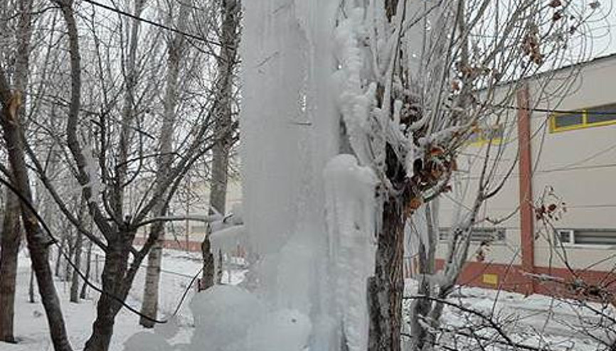 MUŞTA KAVAK AĞACI BUZDAN HEYKELE DÖNDÜ