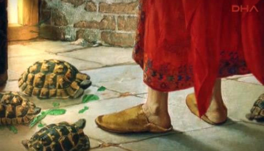 KAPLUMBAĞA TERBİYECİSİ CANLANDI