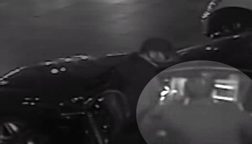 ÇALINAN PAPAĞAN ABBAS BULUNDU