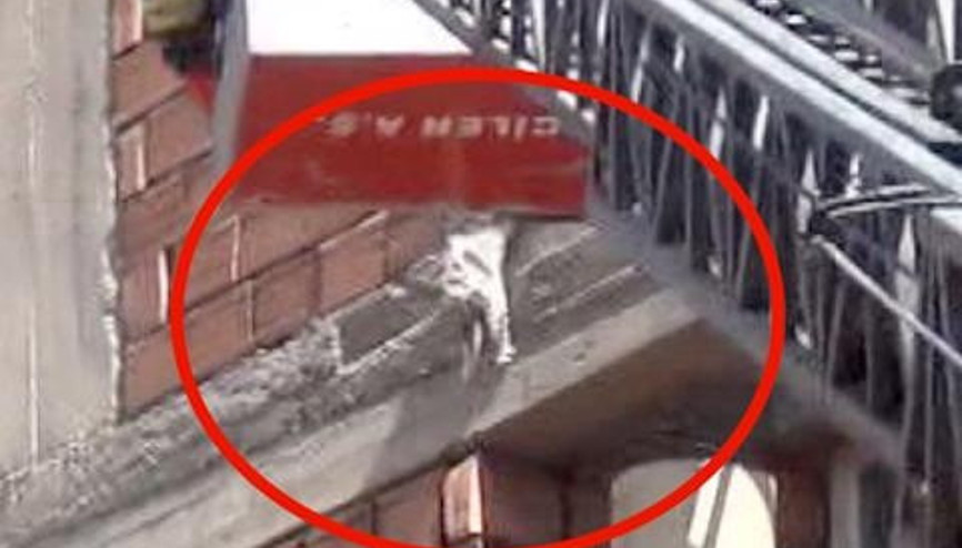 İTFAİYECİLERİ GÖRÜNCE 5NCİ KATTAN ATLADI