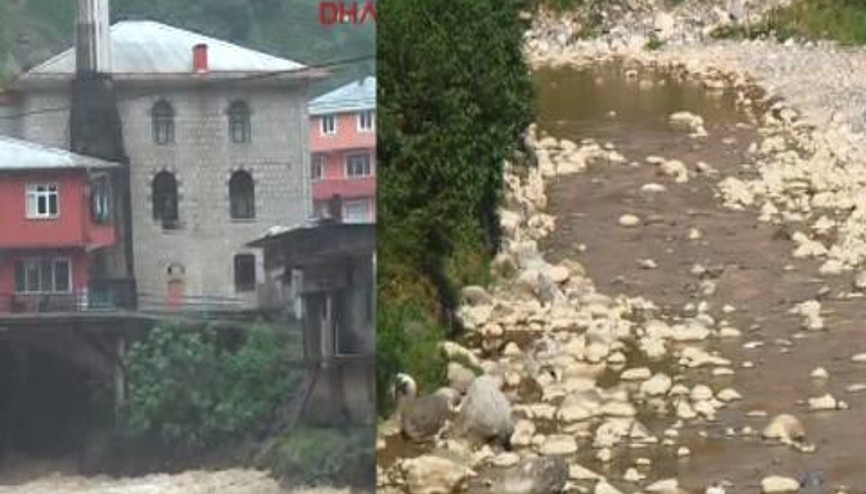 RİZEDE SALARHA DERESİ DE KURUDU RİZEDE SALARHA DERESİ DE KURUDU