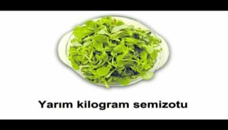 SEMİZOTU SALATASI