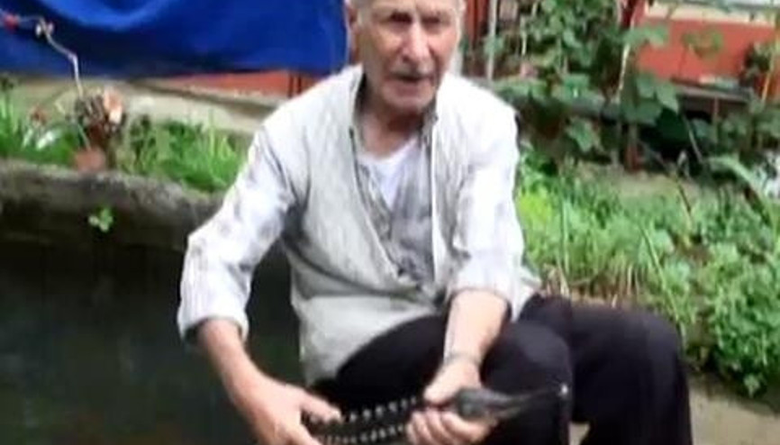 BAHÇESİNDE BULUNAN HAVUZDAKİ SERVET BAHÇESİNDE BULUNAN HAVUZDAKİ SERVET