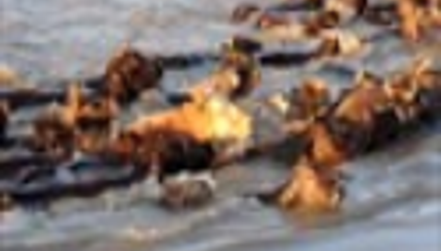 BURASI TEKSAS DEĞİL TÜRKİYEDE BİR YER