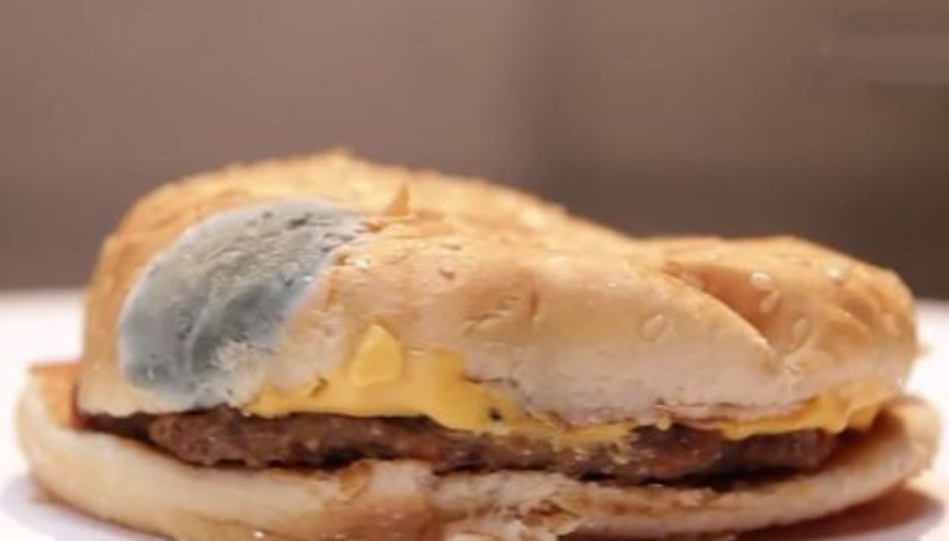 Ünlü fast food restoranlarının hamburgerleri kaç günde bozuluyor
