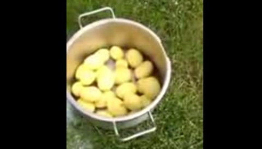 Hızlı Patates Temizleme Yöntemi