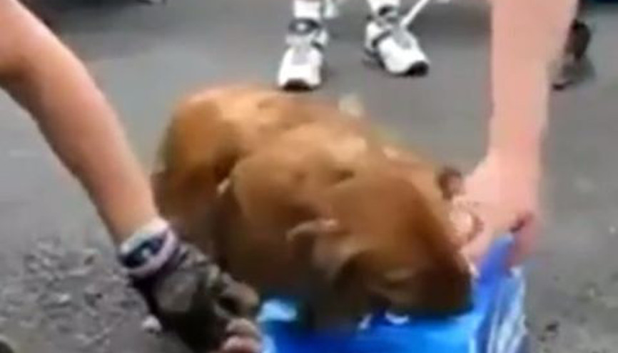 Biralarıma dokunanı yakarım