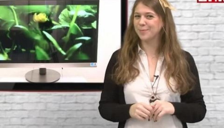 AOC D2769VH video inceleme