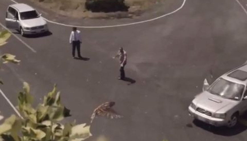 Çarpışmadan hemen önce zaman durursa