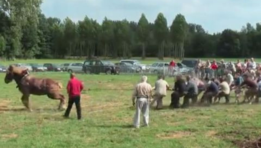 1 Ata Karşı 18 Adam