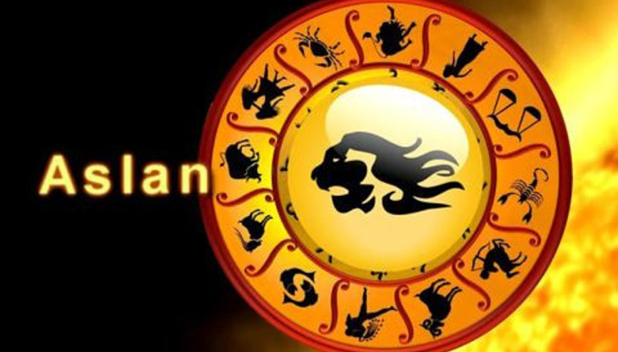 24-30 Mart 2014 Aslan