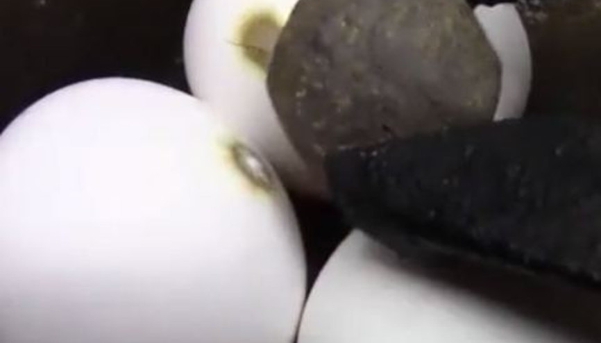 Sıcak Nikel Top Yumurtaya Nasıl Etki Eder