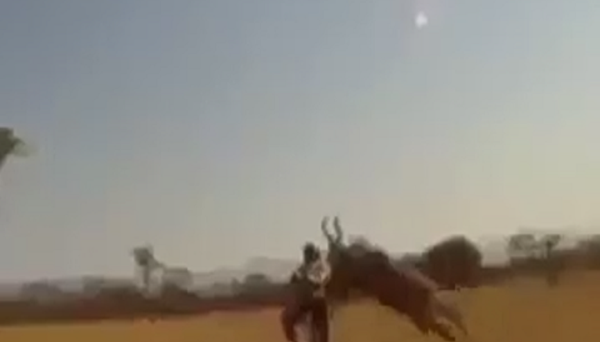 Dağ Bisikletçisini Alaşağı Eden Geyik