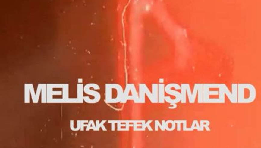 Melis Danişmend - Ufak Tefek Notlar