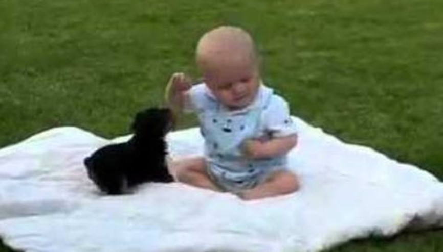 Bebek ile Köpek Yavrusunun Dostluğu