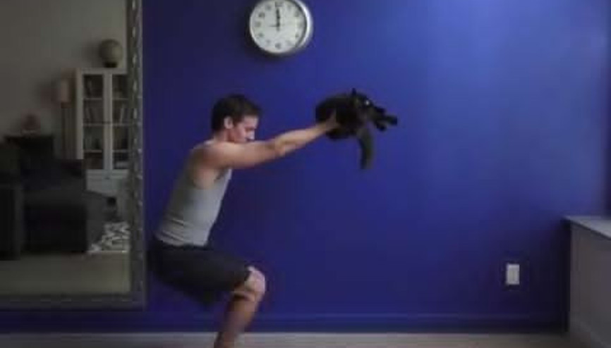 Bir Yoga Partneri Olarak Kedi