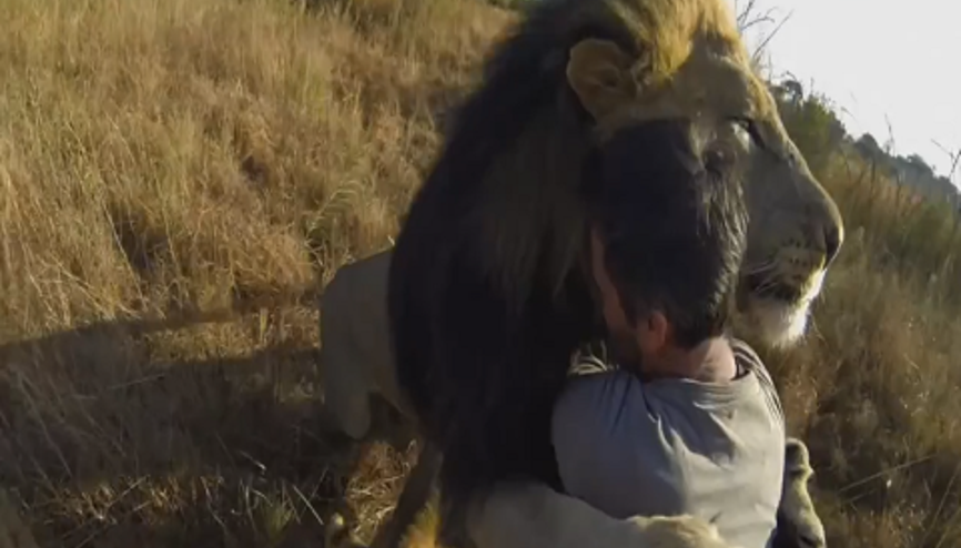 Aslanlarla Kucaklaşan Adam - Kevin Richardson