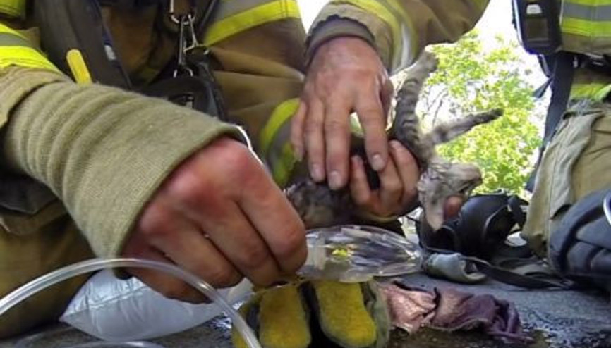 İtfaiye Kediyi Böyle Kurtardı