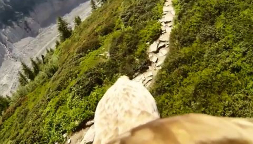 Bir Kartalın Gözünden Dünya