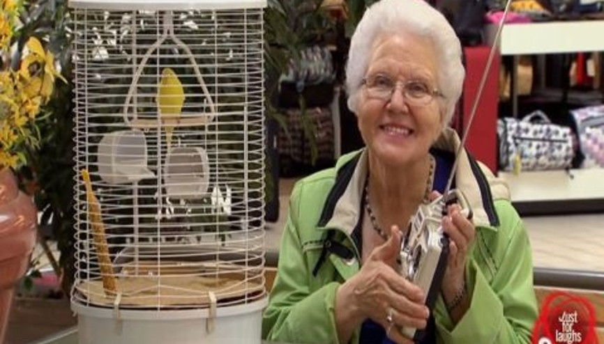 Sevimli Kuş Şakası