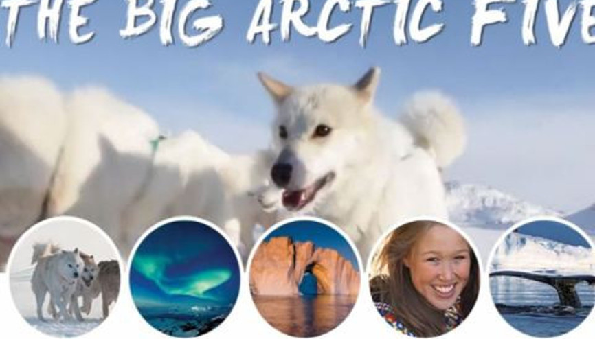 Grönland Arktikleri