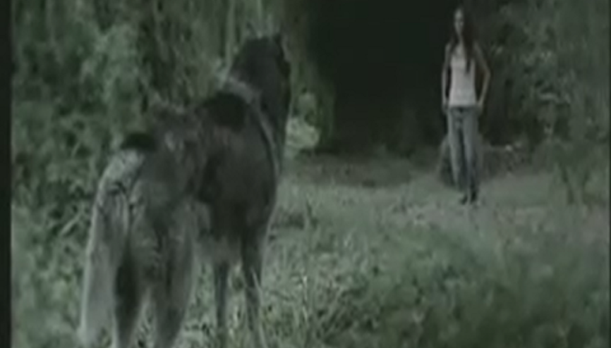 Cesaret Edin ve Değiştirin