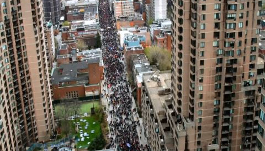 Devasa İnsan Ağacı