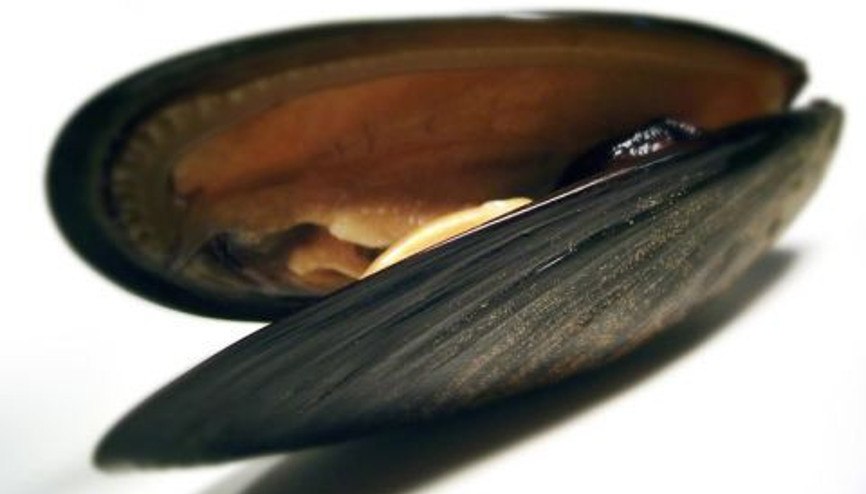 Ev Yapımı Midye Dolma