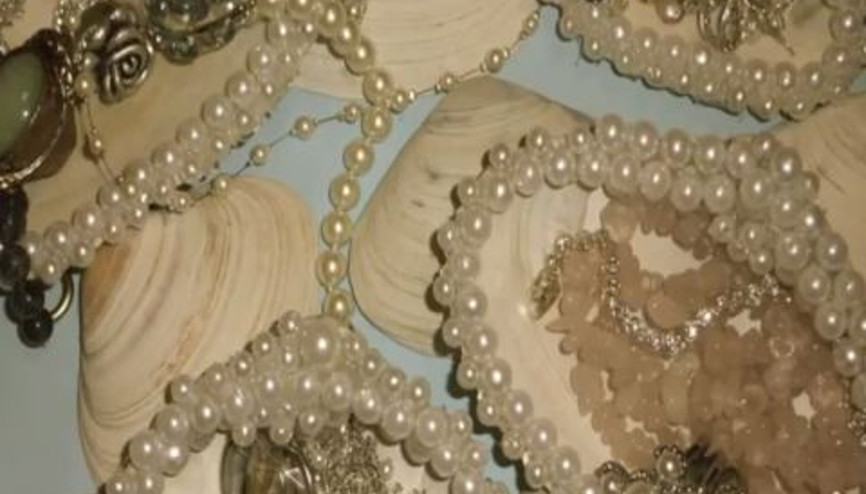 Süslü Deniz Kabukları