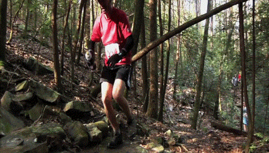 George Nehrinde Koşu Yarışı