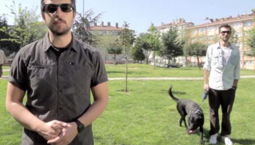 Köpek Nasıl Sevilir