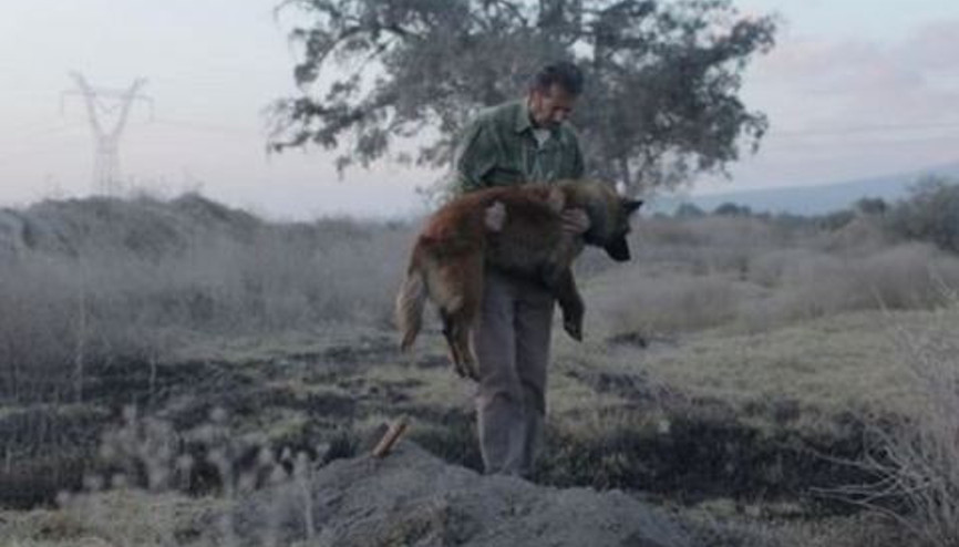 Birbirimize Karşı Kötüyüz