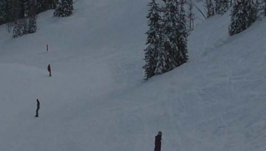 Snowboar Hayranlarına