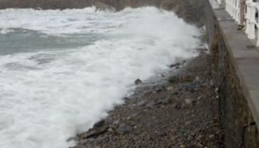 Surf & Bodyboard