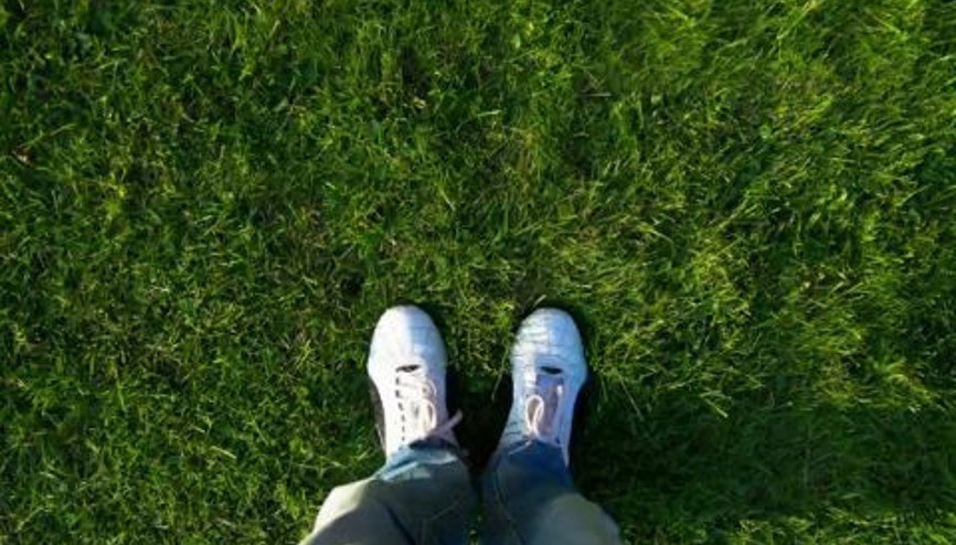 Bakıyorum ve Hareket Ediyorum