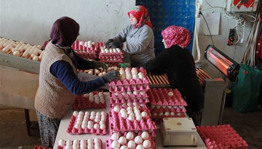 Tüketiciyi üzen yumurta fiyatı üreticiye nefes aldırdı