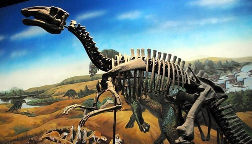 Dinozorların neslinin tükenmesi ile ilgili yeni iddia