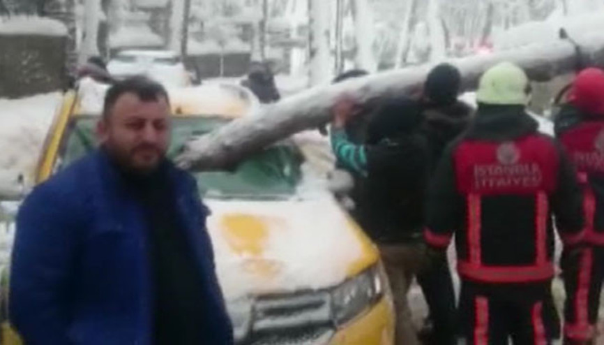 Fırtınadan kopan çam ağacı taksinin ön camından içeri girdi