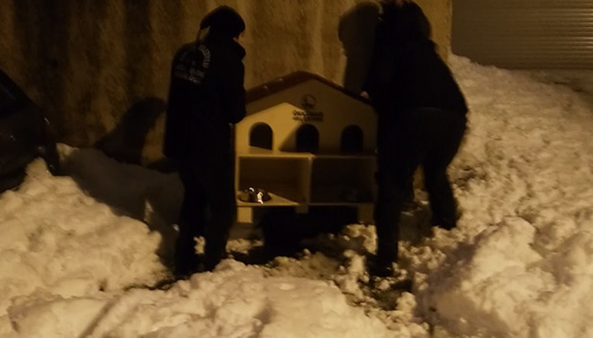 Üsküdar Belediyesinden yeni kedi evi Üsküdar Belediyesinden yeni kedi evi