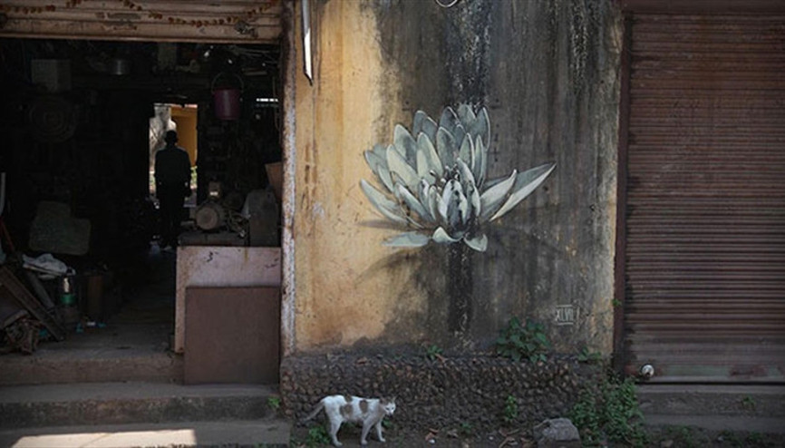 Nilüferin gücüne inanmak