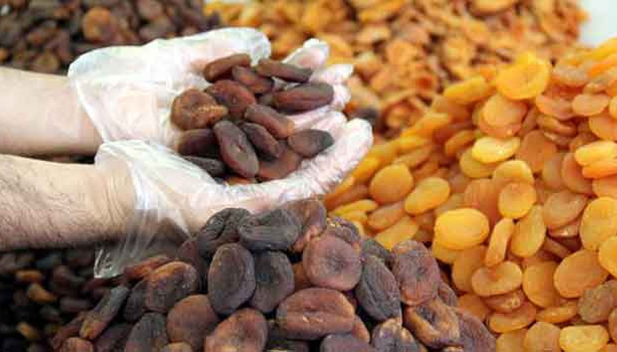 Türkiye dünyaya 79 bin ton kuru kayısı sattı