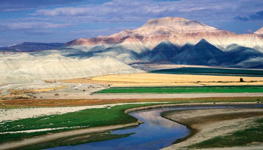 Bırakın  cennet kalsın