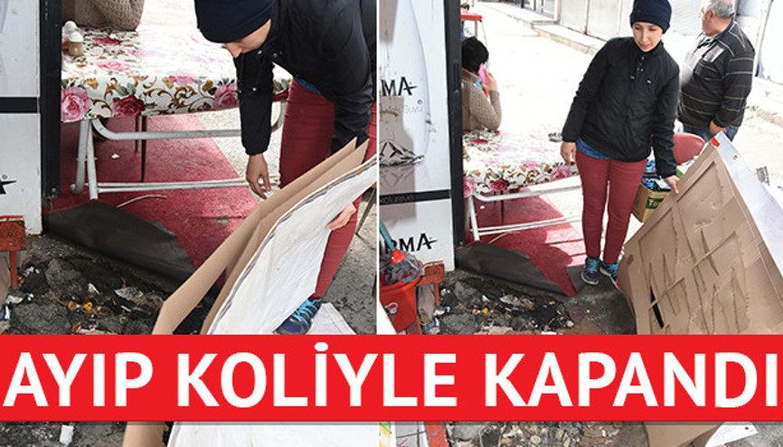 Kazılan çukur koliyle kapatıldı Kazılan çukur koliyle kapatıldı