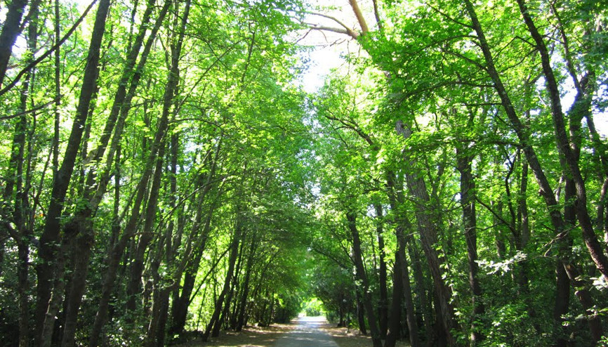 17 milyon kişi ziyaret etti