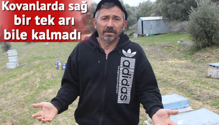 Böyle kin görülmedi