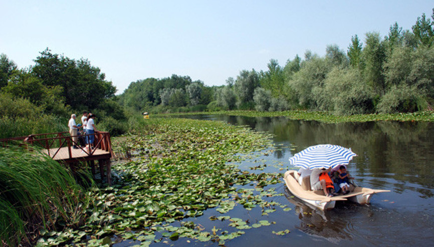 8 ülke, 42 il ve ilçe
