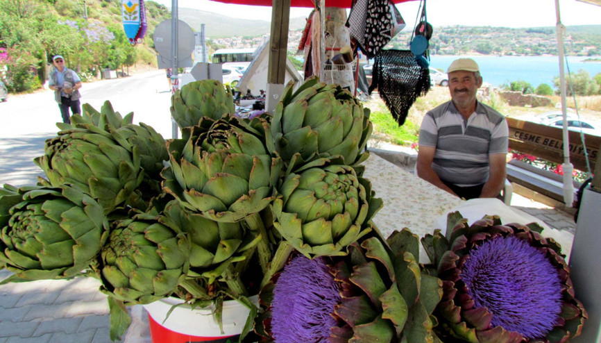Alaçatı Ot Festivali şifa dağıtacak