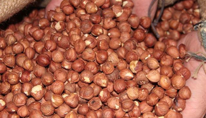 Destek ödemeleri bu hafta başlıyor