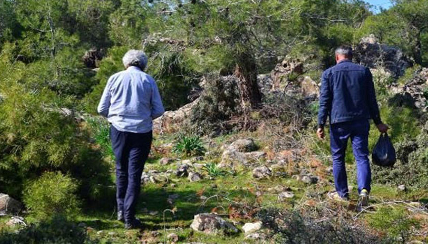 Fiyatını duyan ormana koştu